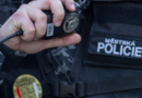 Kriminalisté na Mělnicku vyšetřují násilnou smrt mladíka Kriminalisté na Mělnicku vyšetřují násilnou smrt mladíka