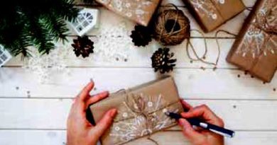 Účastníci soutěže mohou jejím organizátorům zaslat například ozdoby na stromeček, dekorace na vánoční stůl či na zeď nebo dárek – musí je ovšem vyrobit z odpadního materiálu.