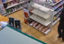 Policie hledá v souvislosti s vraždou v Nelahozevsi batoh Dakine Policie hledá v souvislosti s vraždou v Nelahozevsi batoh Dakine