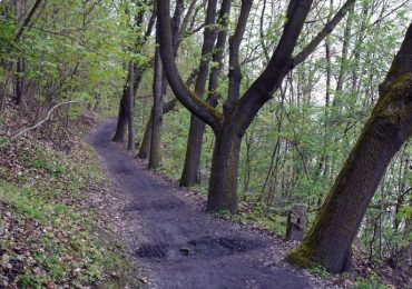 U Dvořákovy stezky v Kralupech bude pokračovat kácení a úpravy terénu
