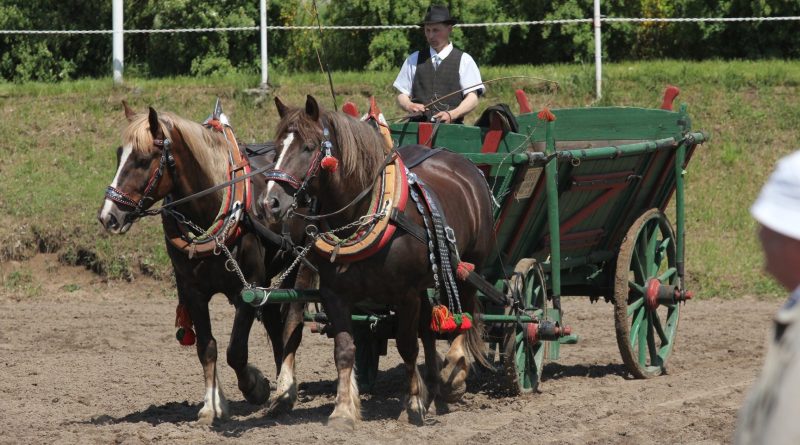 Kam o víkendu na Mělnicku? Přinášíme přehled akcí od 29. května do 31. května 2026
